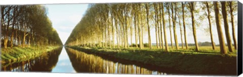 Framed Belgium, tree lined waterway through countryside Print