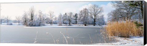 Framed Snow covered trees near a lake, Lake Schubelweiher Kusnacht, Zurich, Switzerland Print