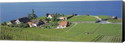 Framed Aerial View Of Vineyards By A Lake, Lake Geneva, Vaud, Switzerland Print