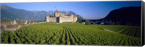 Framed Vineyard in front of a castle, Aigle Castle, Musee de la Vigne et du Vin, Aigle, Vaud, Switzerland Print