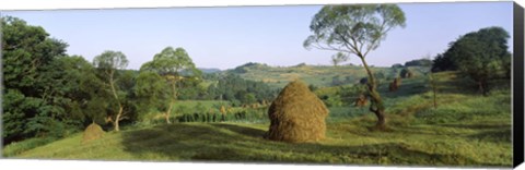 Framed Haystack at the hillside, Transylvania, Romania Print