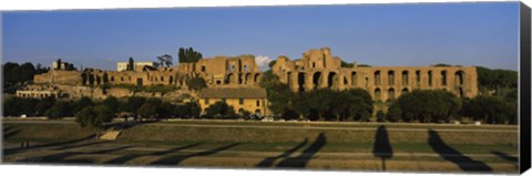 Framed Old ruins of a building, Roman Forum, Rome, Italy Print