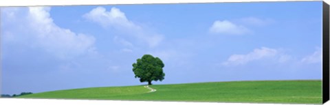 Framed Lone Tree on Hilltop Salzkammergut Austria Print