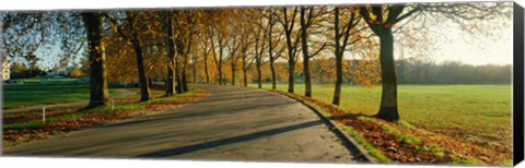 Framed Road at Chateau Chambord France Print