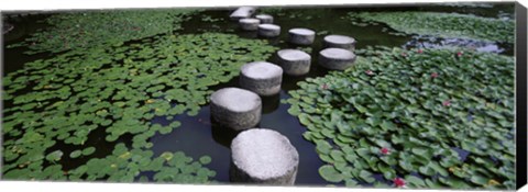 Framed Water Lilies In A Pond, Helan Shrine, Kyoto, Japan Print