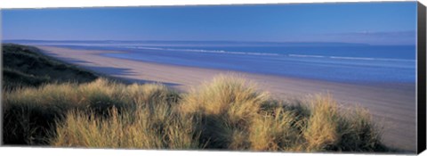 Framed Tall grass on the coastline, Saunton, North Devon, England Print