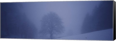 Framed Trees on a snow covered landscape, Schauinsland, Germany Print