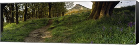 Framed Path Running Through A Forest, Newton Wood, Yorkshire, England, United Kingdom Print