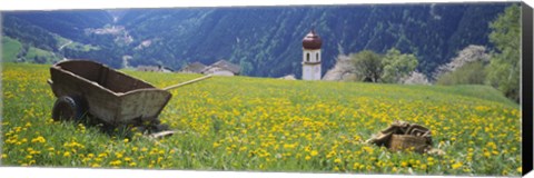 Framed Wheelbarrow in a field, Austria Print