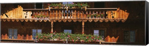 Framed Close-up of potted plants on balcony railings, Tirol, Austria Print