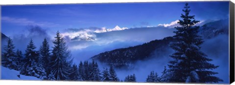 Framed Trees on a polar landscape, Simplon Pass, Switzerland Print