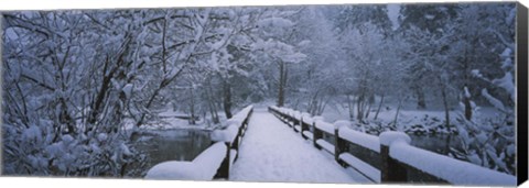 Framed Trees along a snow covered footbridge, Yosemite National Park, California, USA Print