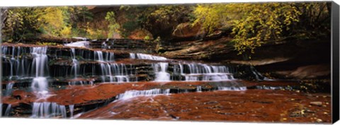 Framed Waterfall in a forest, North Creek, Zion National Park, Utah, USA Print