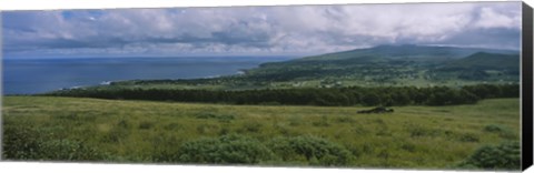 Framed High angle view of trees on a landscape, Easter Island, Chile Print