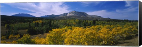 Framed Valley of Trees in Wateron Lakes Print