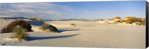 Framed Desert plants in a desert, White Sands National Monument, New Mexico, USA Print