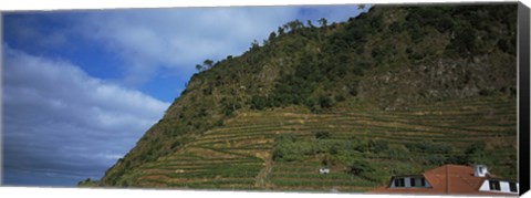 Framed Low angle view of terraced fields on a mountain, Ponta Delgada, Madeira, Portugal Print