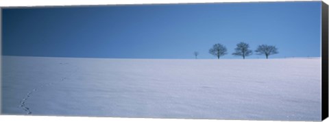 Framed Footprints on a snow covered landscape, St. Peter, Black Forest, Germany Print