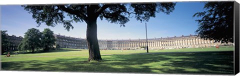 Framed Tree in front of a building, Royal Crescent, Bath, England Print