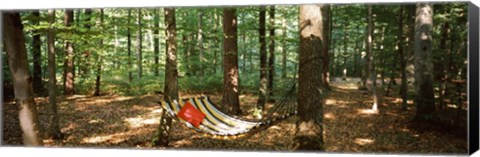 Framed Hammock in a forest, Baden-Wurttemberg, Germany Print