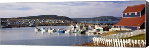 Framed Boats in a harbor, Bonavista Harbour, Newfoundland, Newfoundland And Labrador, Canada Print