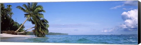 Framed Palm trees on the beach, Indonesia Print