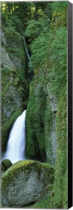 Framed Waterfall in a forest, Columbia River Gorge, Oregon, USA Print