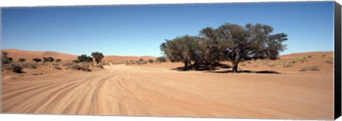 Framed Tire tracks in an arid landscape, Sossusvlei, Namib Desert, Namibia Print