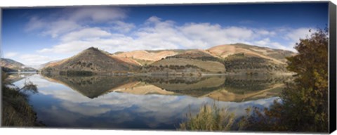 Framed Reflection of Vineyards in the River, Cima Corgo, Duoro River, Portugal Print