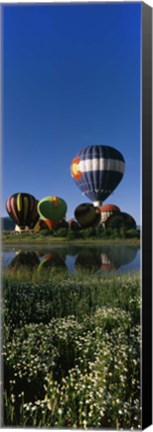 Framed Reflection of hot air balloons in a lake, Hot Air Balloon Rodeo, Steamboat Springs, Colorado, USA Print