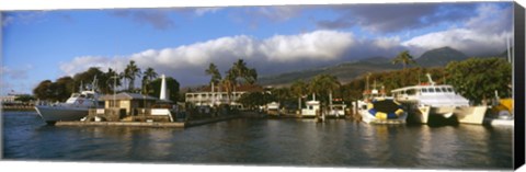 Framed Boats at a harbor, Lahaina Harbor, Lahaina, Maui, Hawaii, USA Print