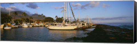 Framed Sailboats in the bay, Lahaina Harbor, Lahaina, Maui, Hawaii, USA Print