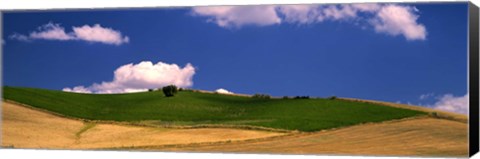 Framed Agricultural field, Ronda, Malaga Province, Andalusia, Spain Print