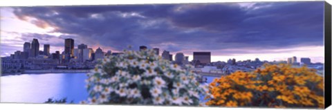 Framed Blooming flowers with Montreal skyline, Quebec, Canada 2010 Print