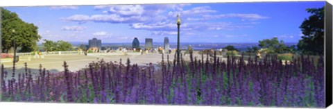 Framed Blooming flowers with city skyline in the background, Kondiaronk Belvedere, Mt Royal, Montreal, Quebec, Canada 2010 Print