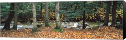 Framed River flowing through a forest, White Mountain National Forest, New Hampshire, USA Print