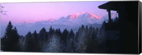 Framed Trees with snow covered mountains at sunset in winter, Combloux, Mont Blanc Massif, Haute-Savoie, Rhone-Alpes, France Print