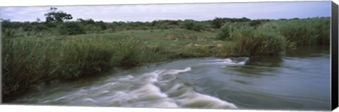 Framed River flowing through a forest, Sabie River, Kruger National Park, South Africa Print