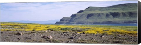 Framed Island in the pacific ocean, Santa Cruz Island, Santa Barbara County, California, USA Print