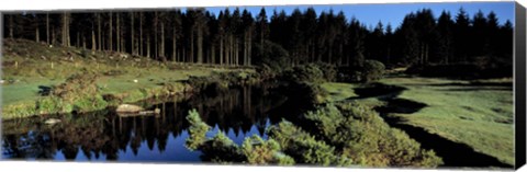 Framed River flowing through a forest, East Dart River, Dartmoor, Devon, England Print