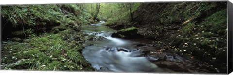 Framed River flowing through a forest, River Lyd, Lydford Gorge, Dartmoor, Devon, England Print