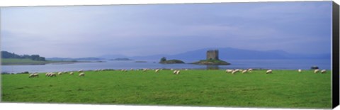 Framed Castle on an island, Glencoe, Loch Linnh, Stalker Castle, Scotland Print