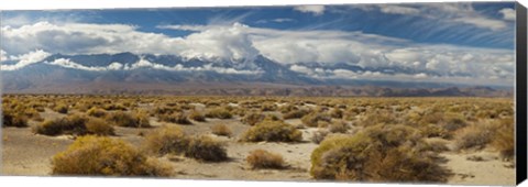 Framed Death Valley landscape, Panamint Range, Death Valley National Park, Inyo County, California, USA Print