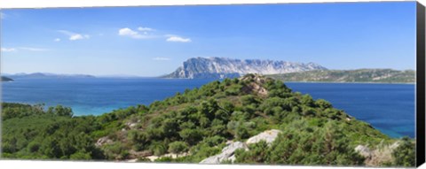 Framed Trees on a hill, Capo Coda Cavallo, Baronia, Sardinia, Italy Print