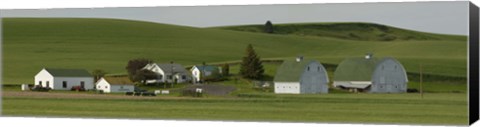 Framed Farm with double barns in wheat fields, Washington State, USA Print