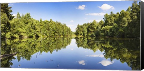 Framed Source of the Neckar River in the Schwenninger moss, Villingen-Schwenningen, Baden-Wurttemberg, Germany Print