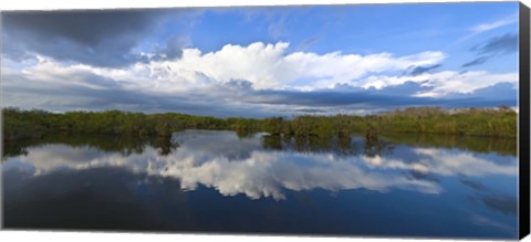 Framed Reflection of clouds on water, Everglades National Park, Florida, USA Print