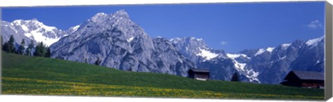 Framed Field Of Wildflowers With Majestic Mountain Backdrop, Karwendel Mountains, Austria Print