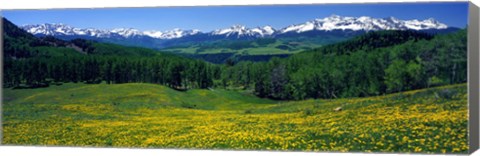 Framed San Miguel Mountains In Spring, Colorado, USA Print