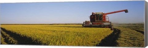 Framed Combine in a rice field, Glenn County, California, USA Print